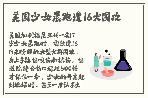 日剧《轮到你了》